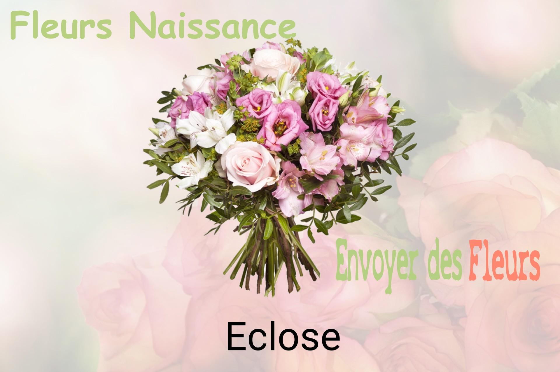 Bouquet de fleurs de naissance livré à Eclose